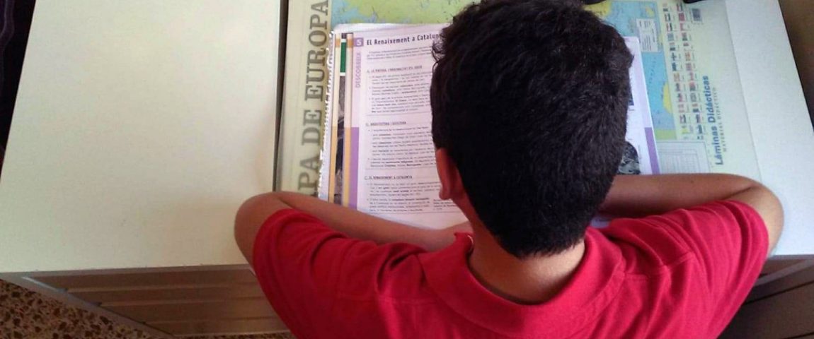 ¿Por qué no un título de ESO adaptado para alumnos con discapacidad intelectual?