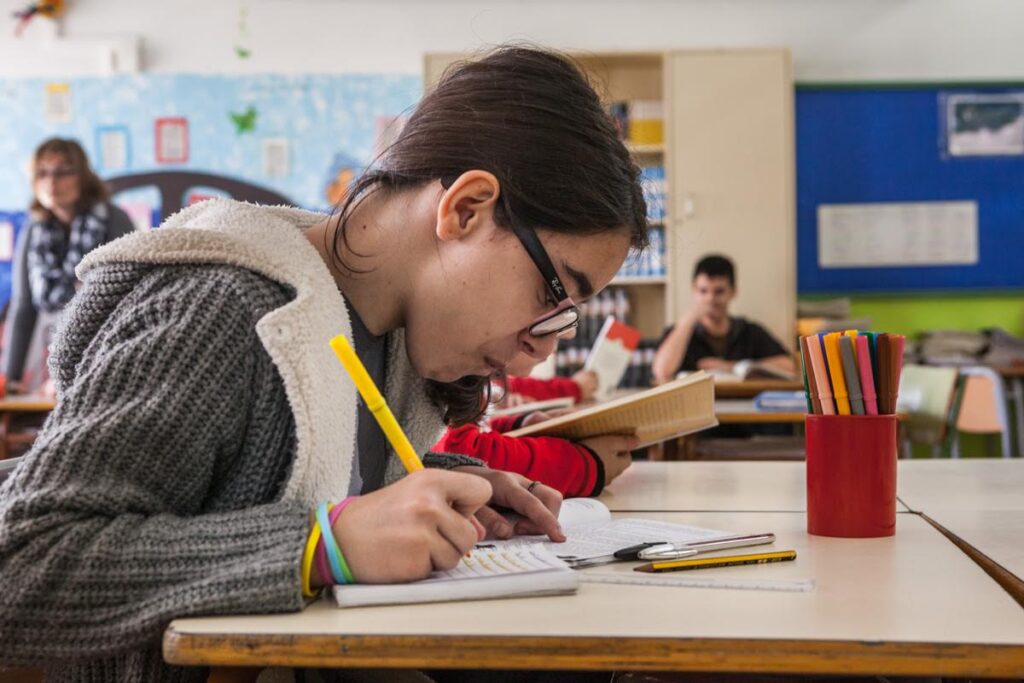 Comprensión lectora: la deuda pendiente de la educación mexicana - El ...