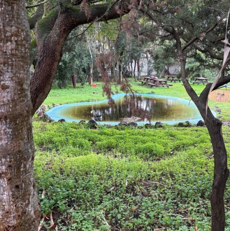 Estanque en el jardín de un instituto de secundaria de la isla de Tenerife