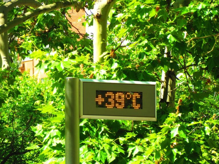 39 degrees celsius of temperature in the city Madrid . Spain